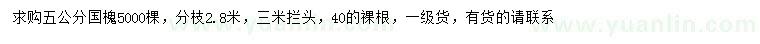 求購(gòu)5公分國(guó)槐