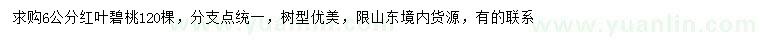 求購6公分紅葉碧桃