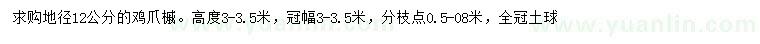 求購地徑12公分雞爪槭