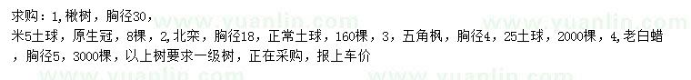 求購(gòu)楸樹(shù)、北欒、五角楓等
