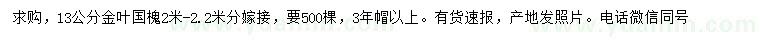 求購13公分金葉國槐