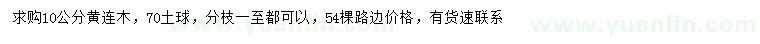求購10公分黃連木