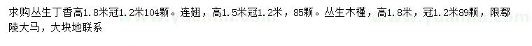 求購叢生丁香、連翹、叢生木槿