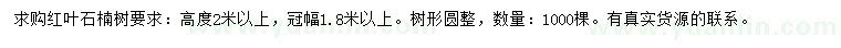 求購高2米以上紅葉石楠