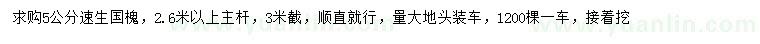 求購5公分速生國槐