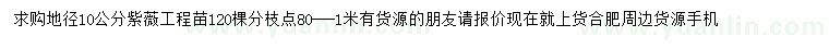 求購地徑10公分紫薇