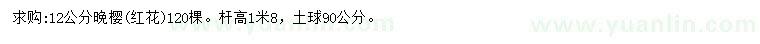 求購12公分晚櫻