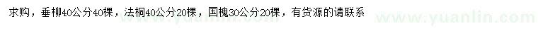 求購垂柳、法桐、國槐