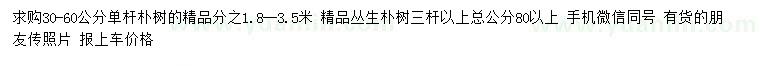 求購(gòu)30-60公分精品樸樹(shù)