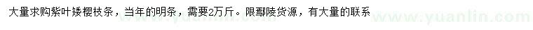 求購紫葉矮櫻枝條