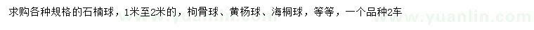 求購石楠球、枸骨球、黃楊球等