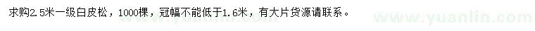 求購2.5米白皮松