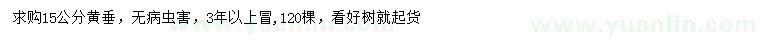 求購(gòu)15公分黃垂