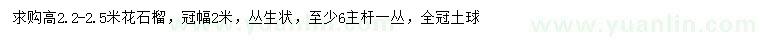 求購高2.2-2.5米花石榴
