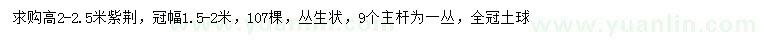 求購高2-2.5米紫荊