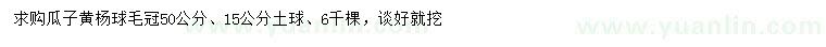 求購(gòu)冠幅50公分瓜子黃楊球