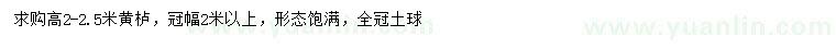求購高2-2.5米黃櫨
