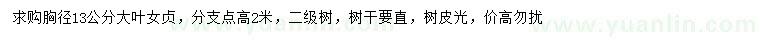 求購胸徑13公分大葉女貞