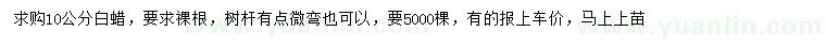 求購(gòu)10公分白蠟