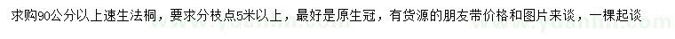 求購90公分以上速生法桐