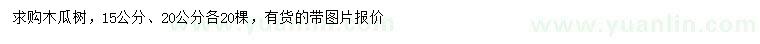 求購15、20公分木瓜樹