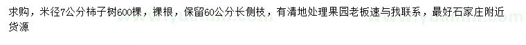 求購米徑7公分柿子樹
