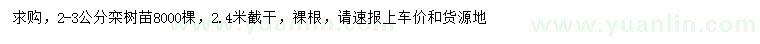 求購2-3公分欒樹