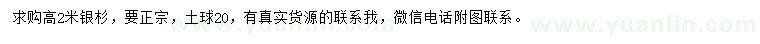 求購(gòu)高2米銀杉
