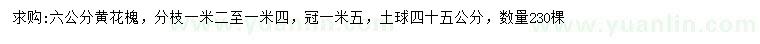 求購(gòu)6公分黃花槐