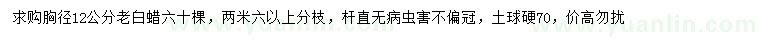 求購胸徑12公分老白蠟