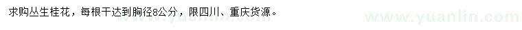 求購叢生桂花