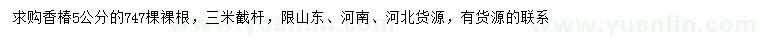 求購5公分香椿