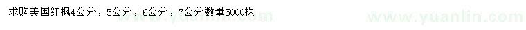 求購4、5、6、7公分美國紅楓