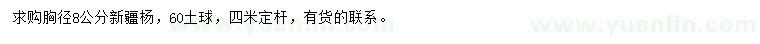 求購(gòu)胸徑8公分新疆楊