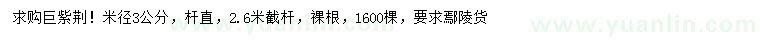 求購米徑3公分巨紫荊