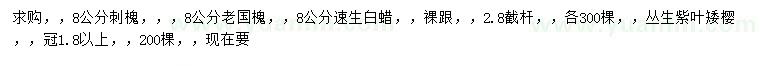 求購(gòu)刺槐、老國(guó)槐、速生白蠟等