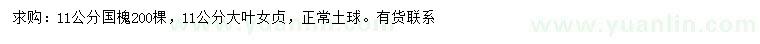 求購11公分國槐、大葉女貞