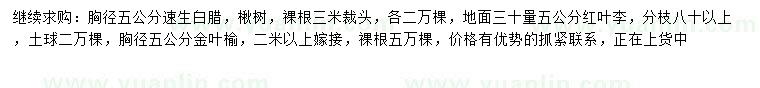 求購(gòu)速生白臘、楸樹、紅葉李等