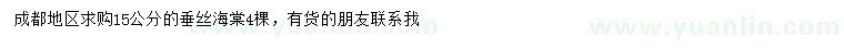 求購15公分垂絲海棠