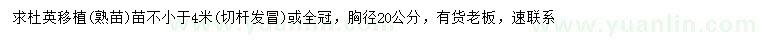 求購胸徑20公分杜英
