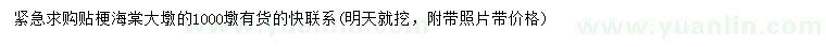 求購貼梗海棠