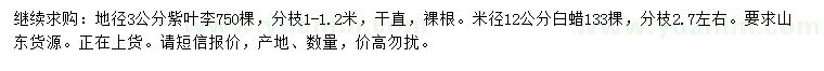 求購(gòu)地徑3公分紫葉李、米徑12公分白蠟