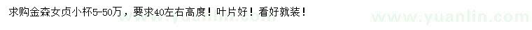 求購高40公分左右金森女貞