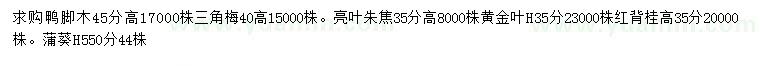 求購(gòu)鴨腳木、三角梅、亮葉朱焦等