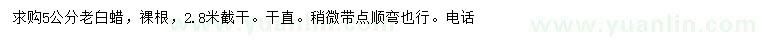 求購5公分老白蠟