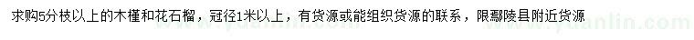 求購冠徑1米以上木槿、花石榴