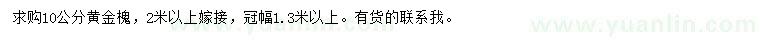 求購(gòu)10公分黃金槐