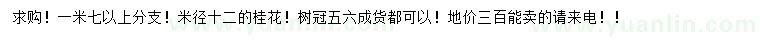 求購米徑12公分桂花