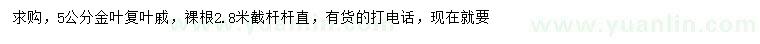 求購5公分金葉復葉槭