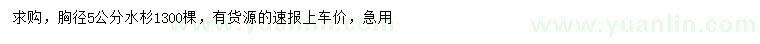 求購胸徑5公分水杉